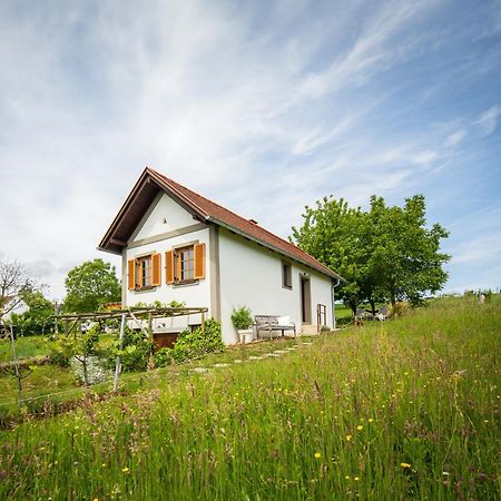 Edlitz im Burgenland Weinlofts Weinloft I 빌라 외부 사진