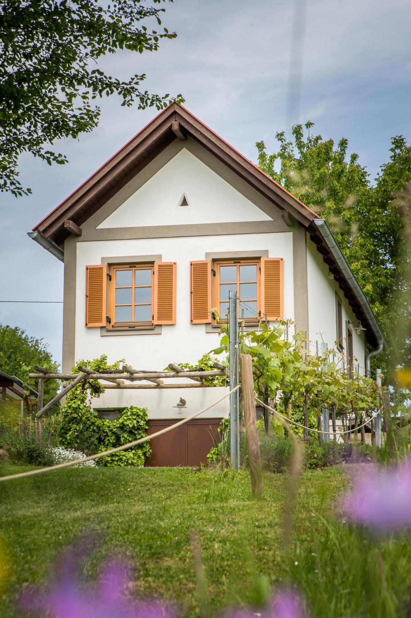 Edlitz im Burgenland Weinlofts Weinloft I 빌라 외부 사진