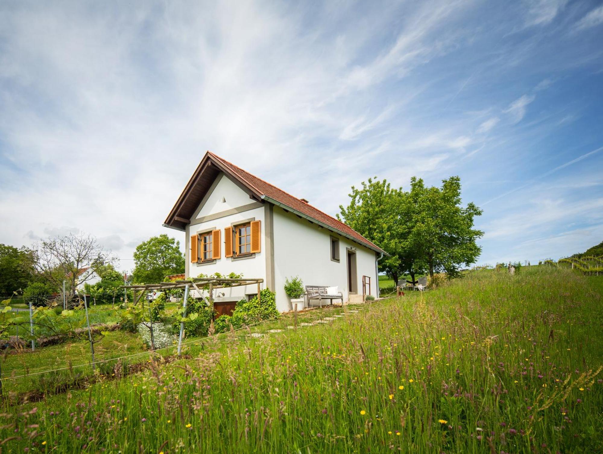 Edlitz im Burgenland Weinlofts Weinloft I 빌라 외부 사진