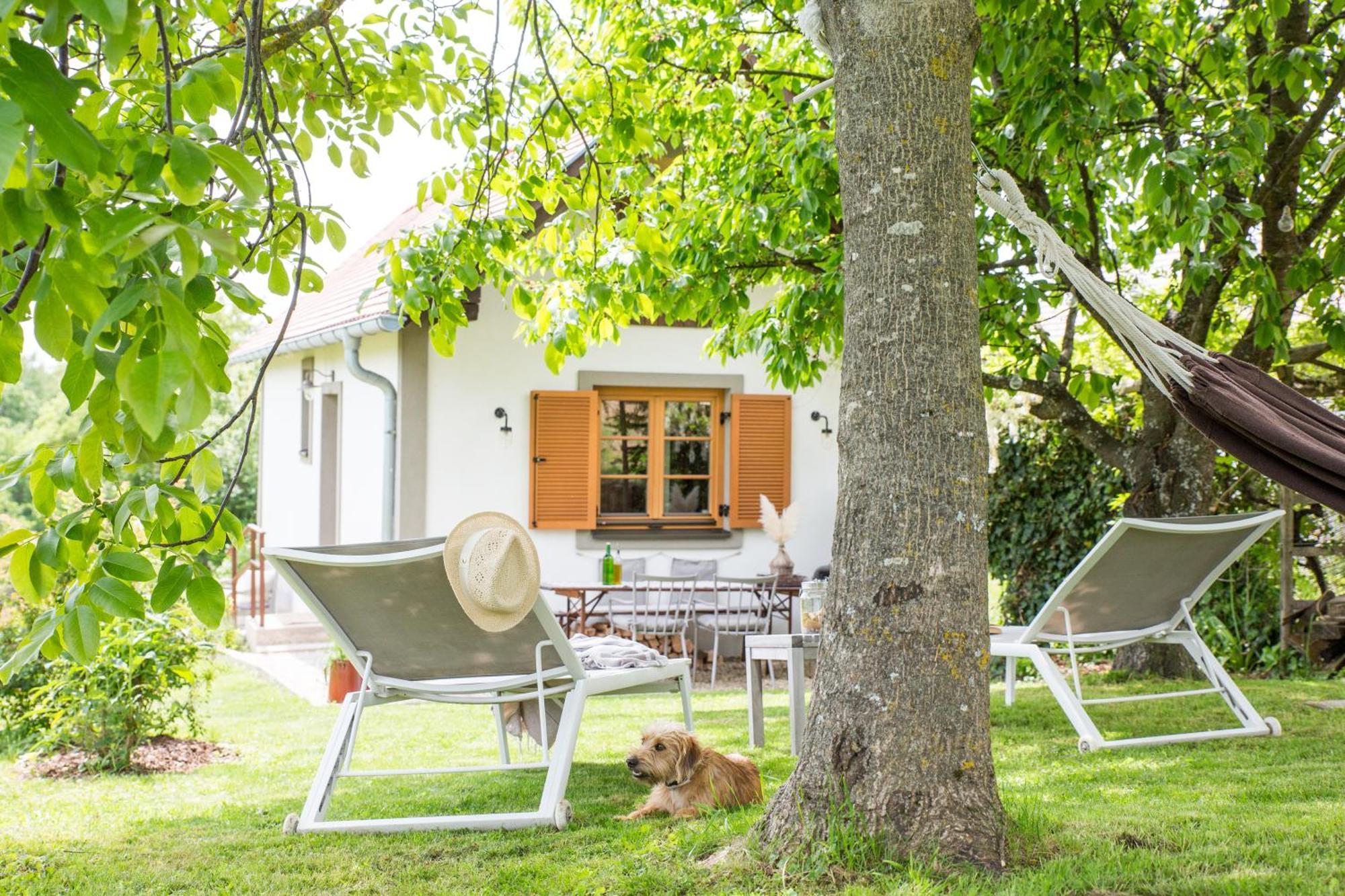 Edlitz im Burgenland Weinlofts Weinloft I 빌라 외부 사진