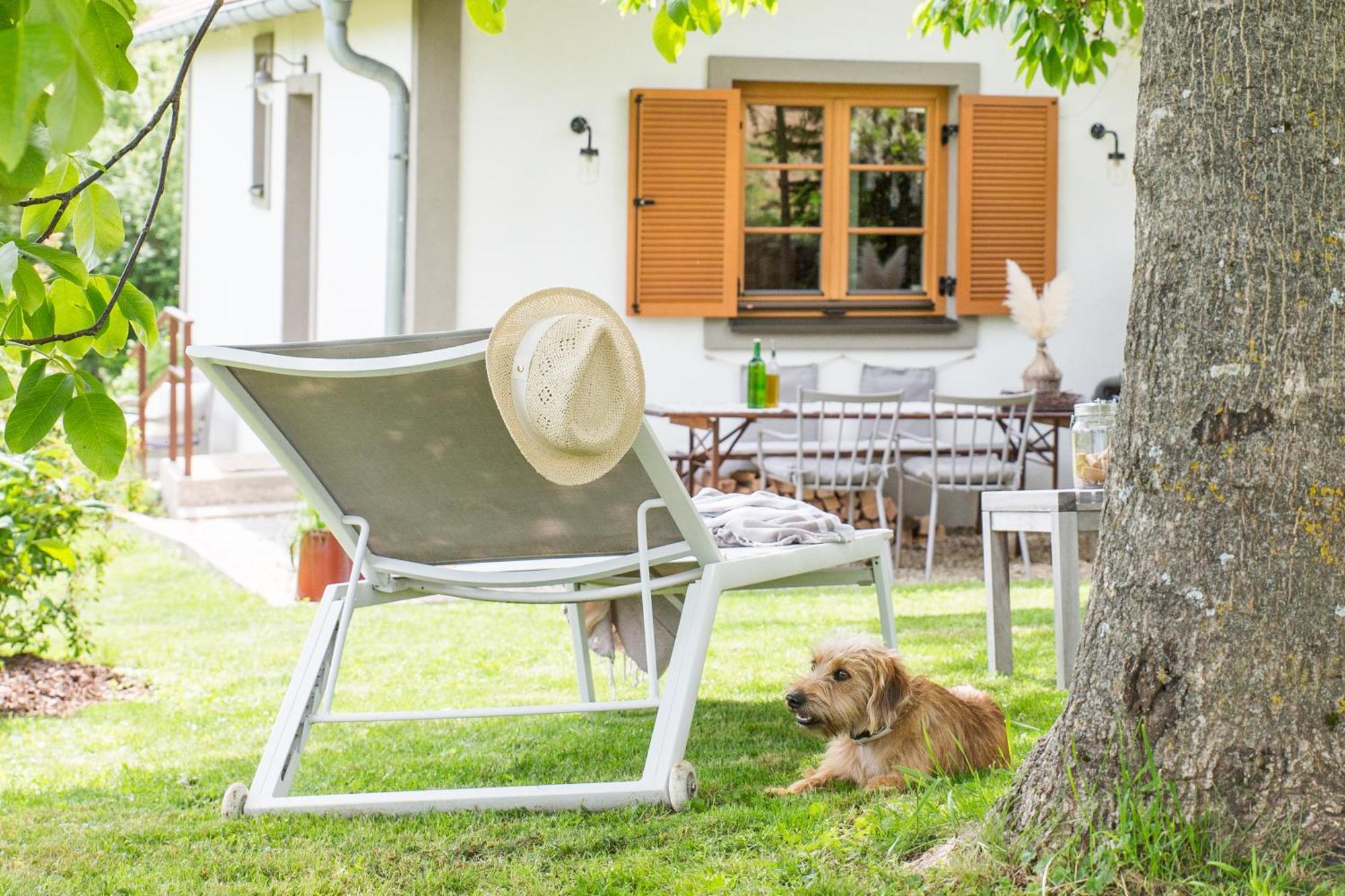 Edlitz im Burgenland Weinlofts Weinloft I 빌라 외부 사진
